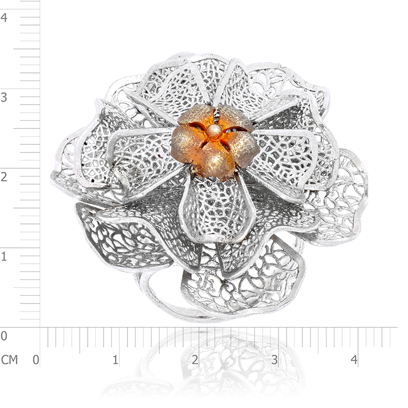 Actual Size Ring Photography