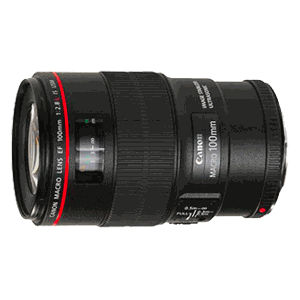Canon EF 100mm Macro IS USM